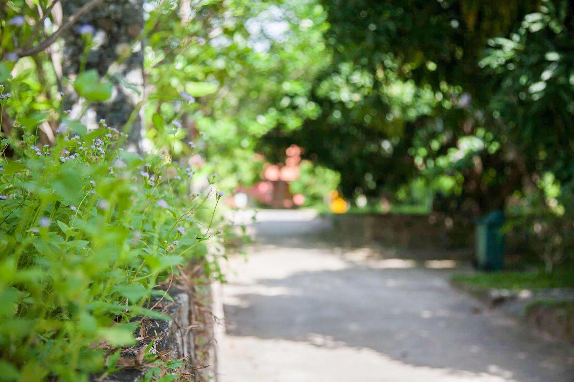 Koh Tao Garden Resort Екстериор снимка